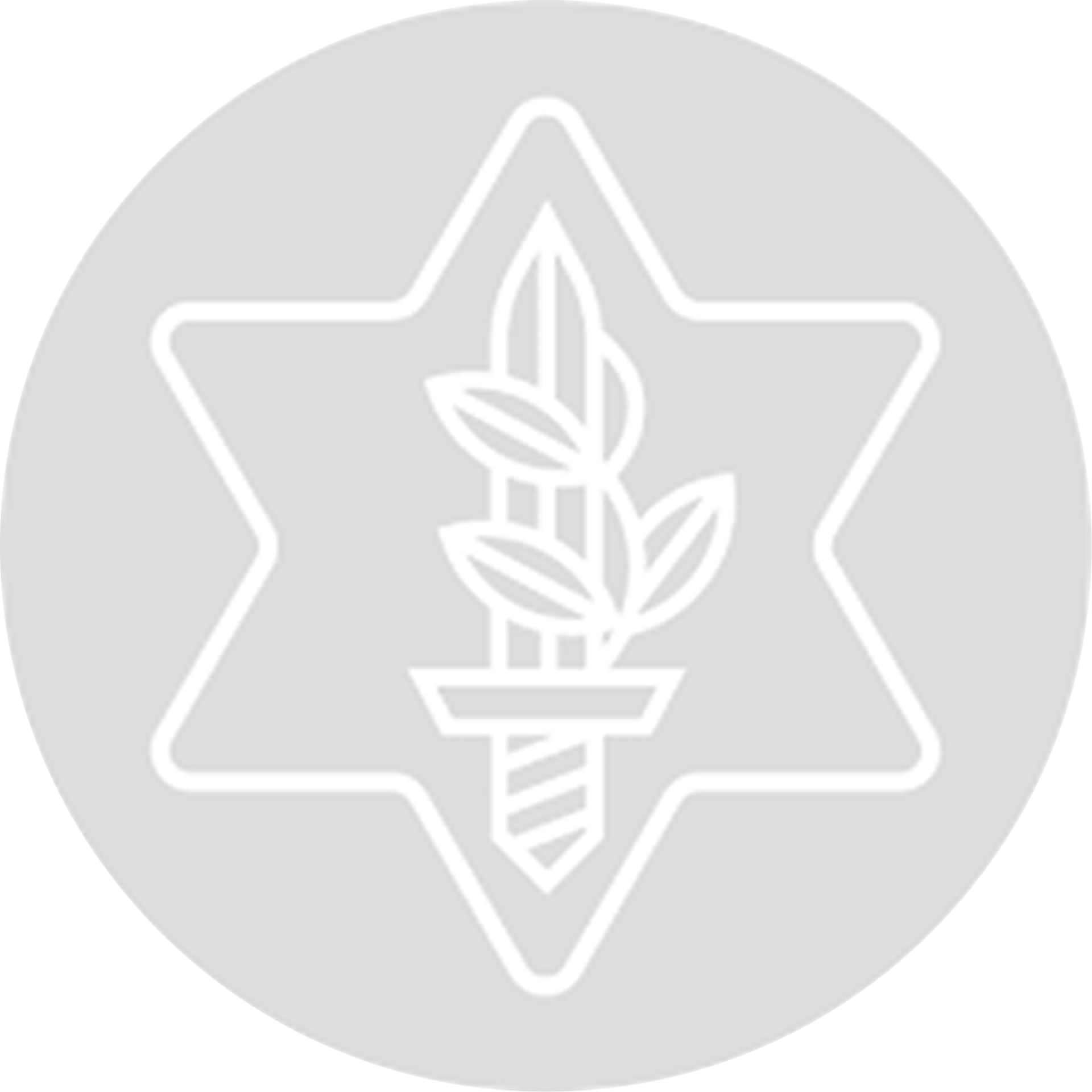 ארגון נכי צהל 2